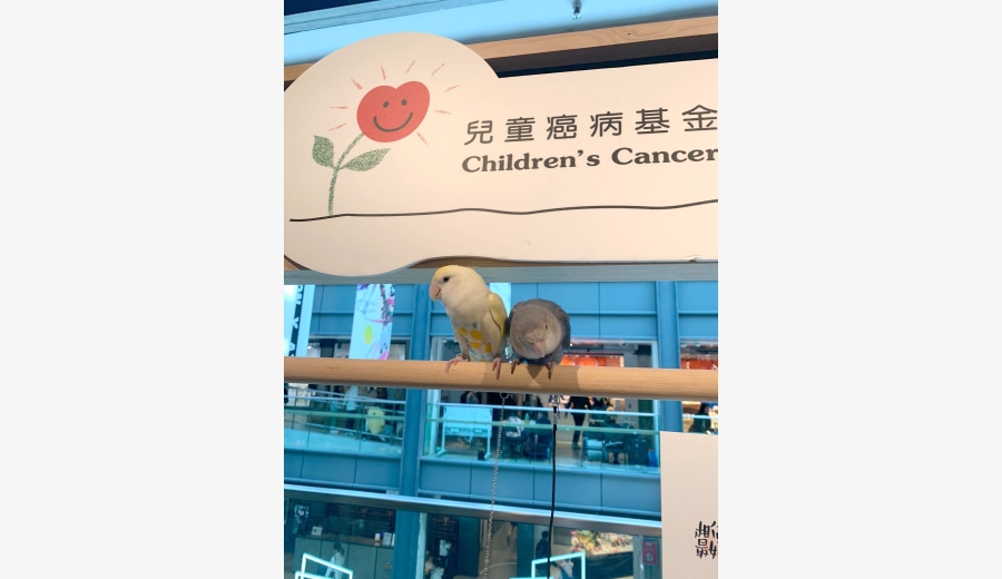 WhatsApp Image 2023-03-06 at 12.18.44 (2)